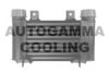 AUTOGAMMA 105823 Intercooler, charger